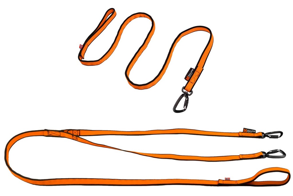 Non stop 2025 bungee leash